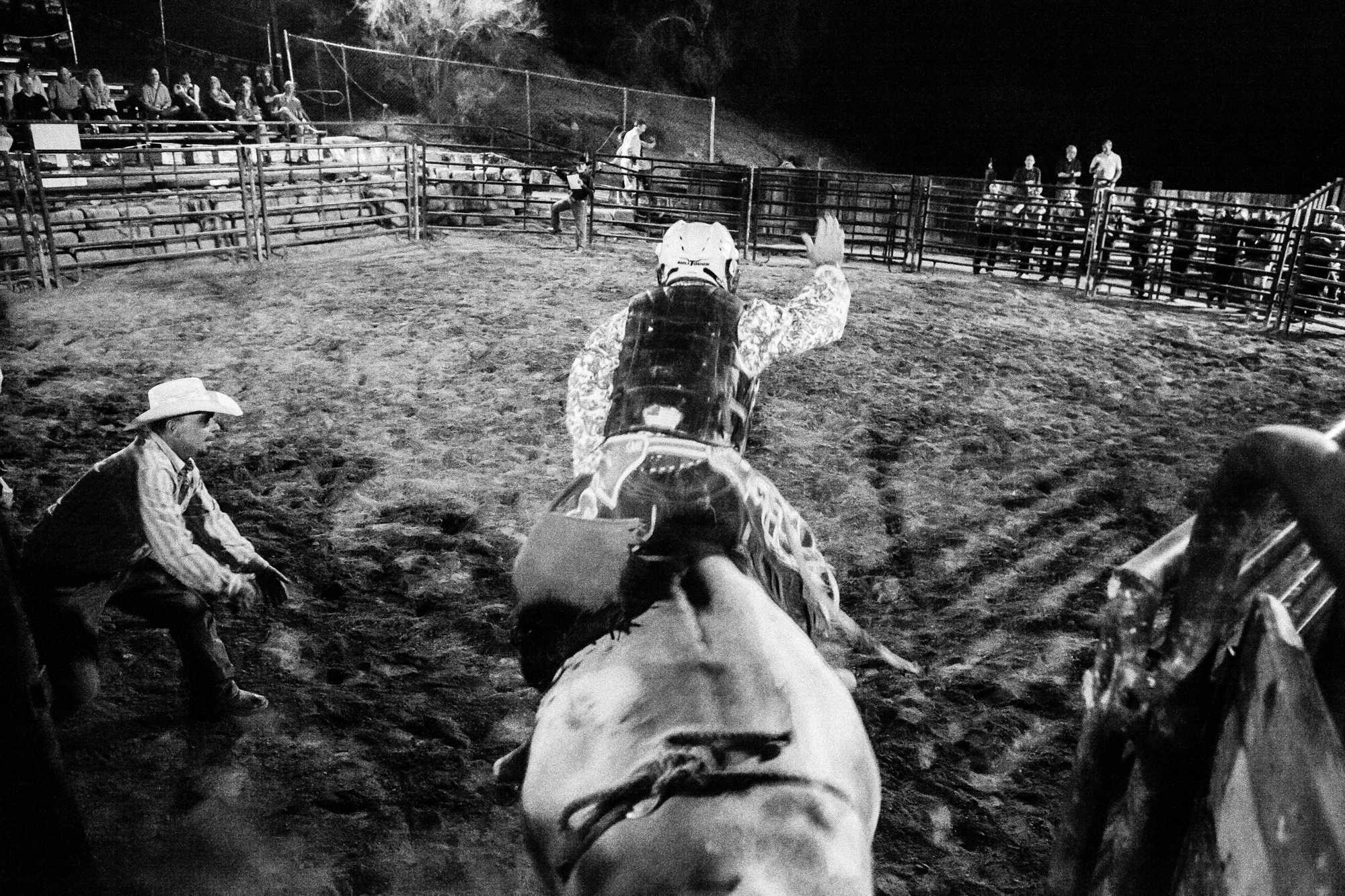 rodeo