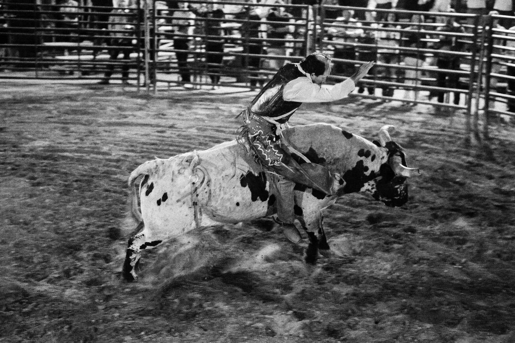 rodeo