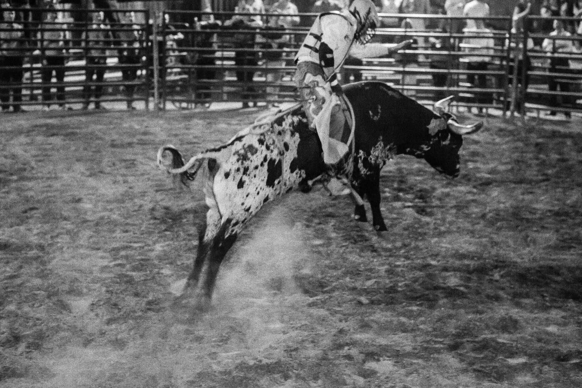 rodeo
