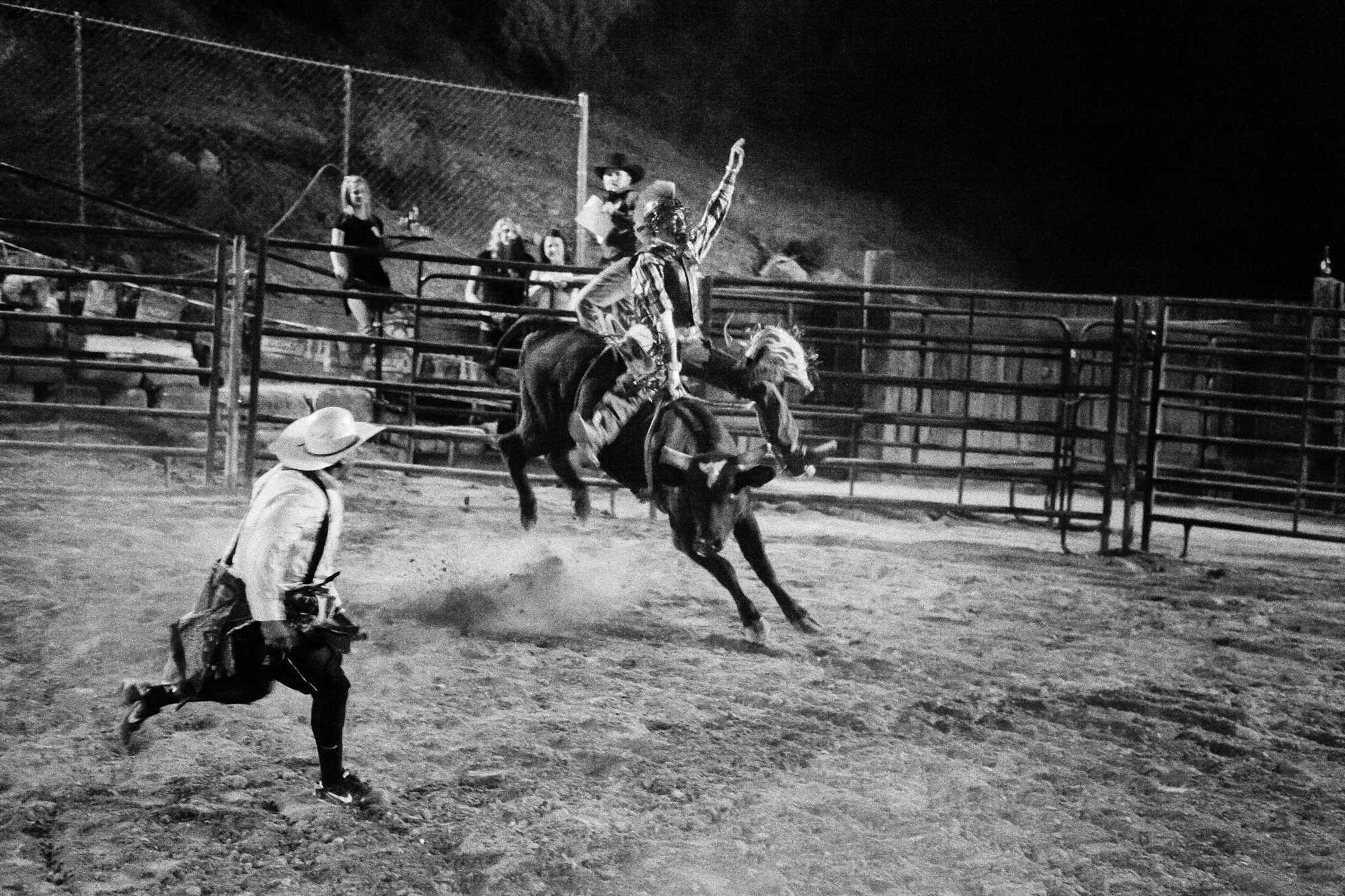 rodeo